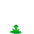 Gifs animados Animales - Imagenes animadas de Animales