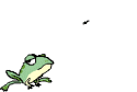 Gifs animados Animales - Imagenes animadas de Animales