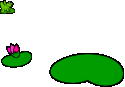 Gifs animados Animales - Imagenes animadas de Animales