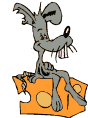 Gifs animados Animales - Imagenes animadas de Animales
