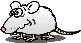 Gifs animados Animales - Imagenes animadas de Animales