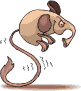 Gifs animados Animales - Imagenes animadas de Animales
