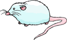 Gifs animados Animales - Imagenes animadas de Animales