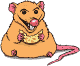 Gifs animados Animales - Imagenes animadas de Animales