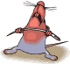 Gifs animados Animales - Imagenes animadas de Animales