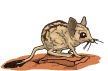 Gifs animados Animales - Imagenes animadas de Animales