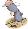 Gifs animados Animales - Imagenes animadas de Animales