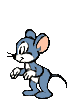 Gifs animados Animales - Imagenes animadas de Animales