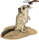 Gifs animados Animales - Imagenes animadas de Animales