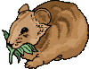Gifs animados Animales - Imagenes animadas de Animales