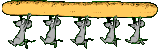 Gifs animados Animales - Imagenes animadas de Animales
