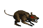 Gifs animados Animales - Imagenes animadas de Animales