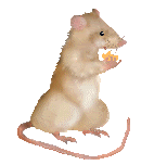 Gifs animados Animales - Imagenes animadas de Animales