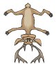 Disegni da colorare di Animali -Colorare disegni gratis Animali
