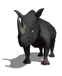 Disegni da colorare di Animali -Colorare disegni gratis Animali