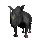 Disegni da colorare di Animali -Colorare disegni gratis Animali