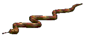 Gifs animados Animales - Imagenes animadas de Animales