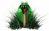 Gifs animados Animales - Imagenes animadas de Animales
