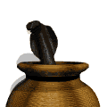 Gifs animados Animales - Imagenes animadas de Animales