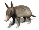 Gifs animados Animales - Imagenes animadas de Animales