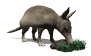 Gifs animados Animales - Imagenes animadas de Animales