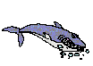 Disegni da colorare di Animali -Colorare disegni gratis Animali