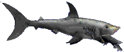 Disegni da colorare di Animali -Colorare disegni gratis Animali
