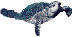 Disegni da colorare di Animali -Colorare disegni gratis Animali