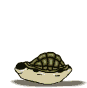 Gifs animados Animales - Imagenes animadas de Animales