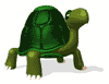 Gifs animados Animales - Imagenes animadas de Animales