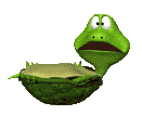 Gifs animados Animales - Imagenes animadas de Animales