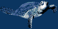 Gifs animados Animales - Imagenes animadas de Animales