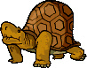 Gifs animados Animales - Imagenes animadas de Animales