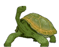 Gifs animados Animales - Imagenes animadas de Animales