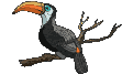 Disegni da colorare di Animali -Colorare disegni gratis Animali