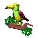 Disegni da colorare di Animali -Colorare disegni gratis Animali