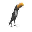 Disegni da colorare di Animali -Colorare disegni gratis Animali