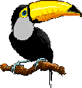 Disegni da colorare di Animali -Colorare disegni gratis Animali
