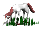 Disegni da colorare di Animali -Colorare disegni gratis Animali