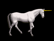 Disegni da colorare di Animali -Colorare disegni gratis Animali
