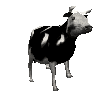 Disegni da colorare di Animali -Colorare disegni gratis Animali