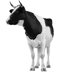 Disegni da colorare di Animali -Colorare disegni gratis Animali