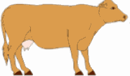 Disegni da colorare di Animali -Colorare disegni gratis Animali