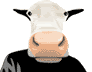 Disegni da colorare di Animali -Colorare disegni gratis Animali