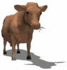 Disegni da colorare di Animali -Colorare disegni gratis Animali