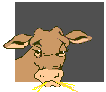 Disegni da colorare di Animali -Colorare disegni gratis Animali