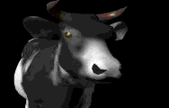 Disegni da colorare di Animali -Colorare disegni gratis Animali