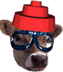 Gifs animados Animales - Imagenes animadas de Animales