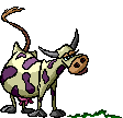 Gifs animados Animales - Imagenes animadas de Animales
