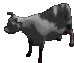 Gifs animados Animales - Imagenes animadas de Animales